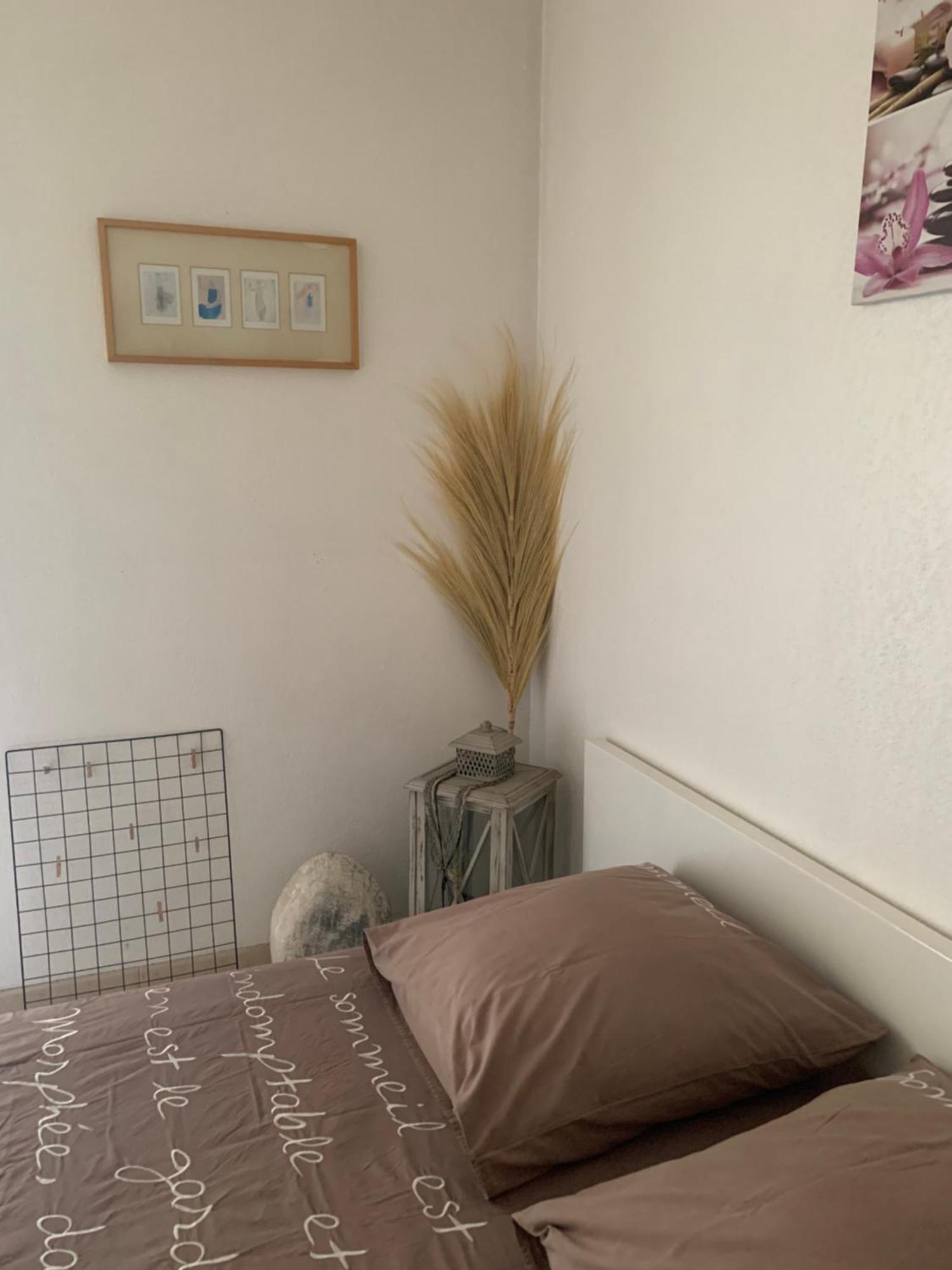 Votre Sejour Cosy A Frejus! Apartman Kültér fotó